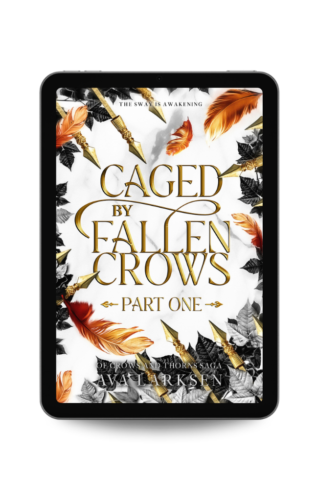 Literary Inspired - Author Marketing Client Portfolio9